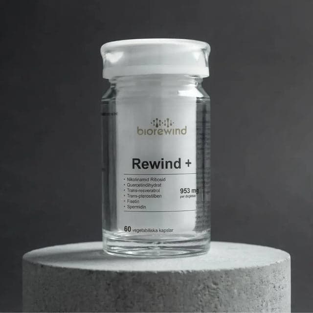 Rewind Plus