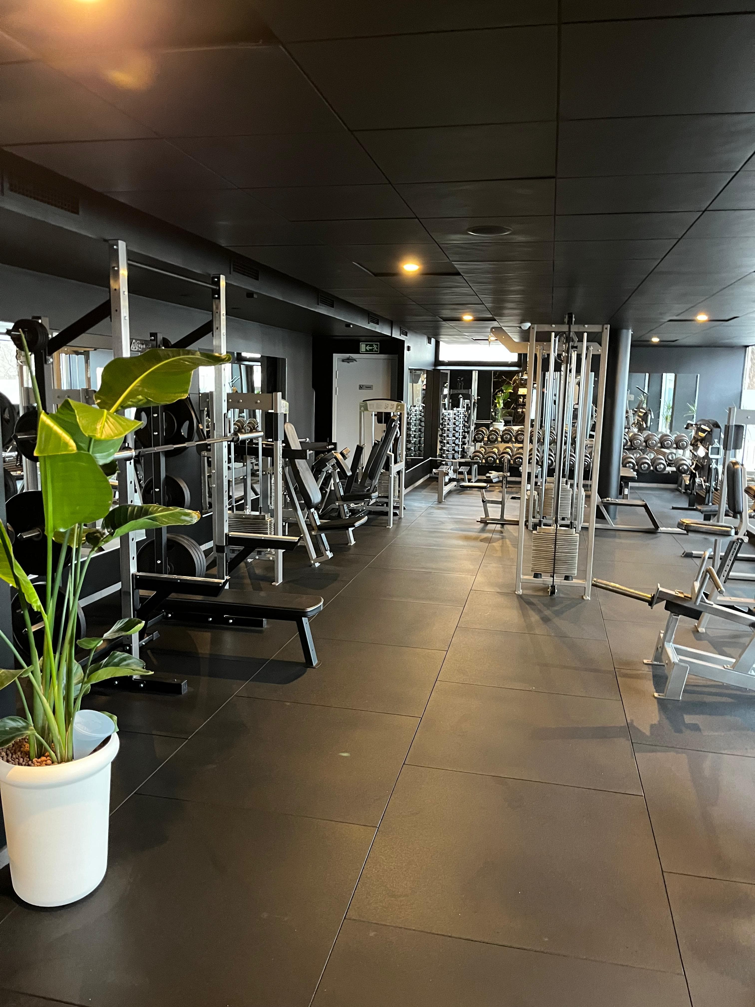 Styrkemaskiner och hantlar på gymmet IW nära Sörberge i Timrå
